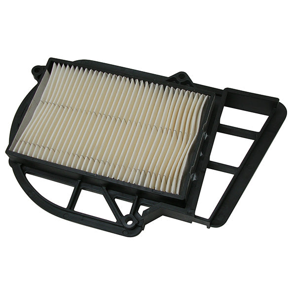 Filtro Aria Variatore | Yamaha X-Max 250, X-City 250, Majesty 250 | MBK Skyliner | Malaguti Password 250