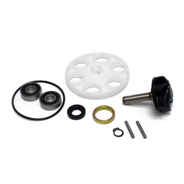 Kit Riparazione Pompa Acqua con Disco – Minarelli 50cc Scooter