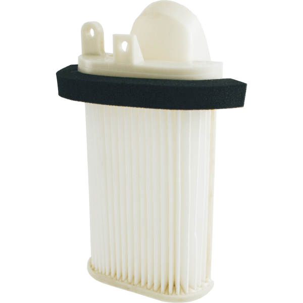 Filtro Aria 5604028 – Yamaha T-Max 01-07 - Carter DX / Coperchio SX Condotto Aria