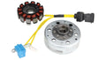 Kit Statore + Volano Originale Piaggio 58059R - Liberty, Vespa, X8, X9, Fly, Skypper