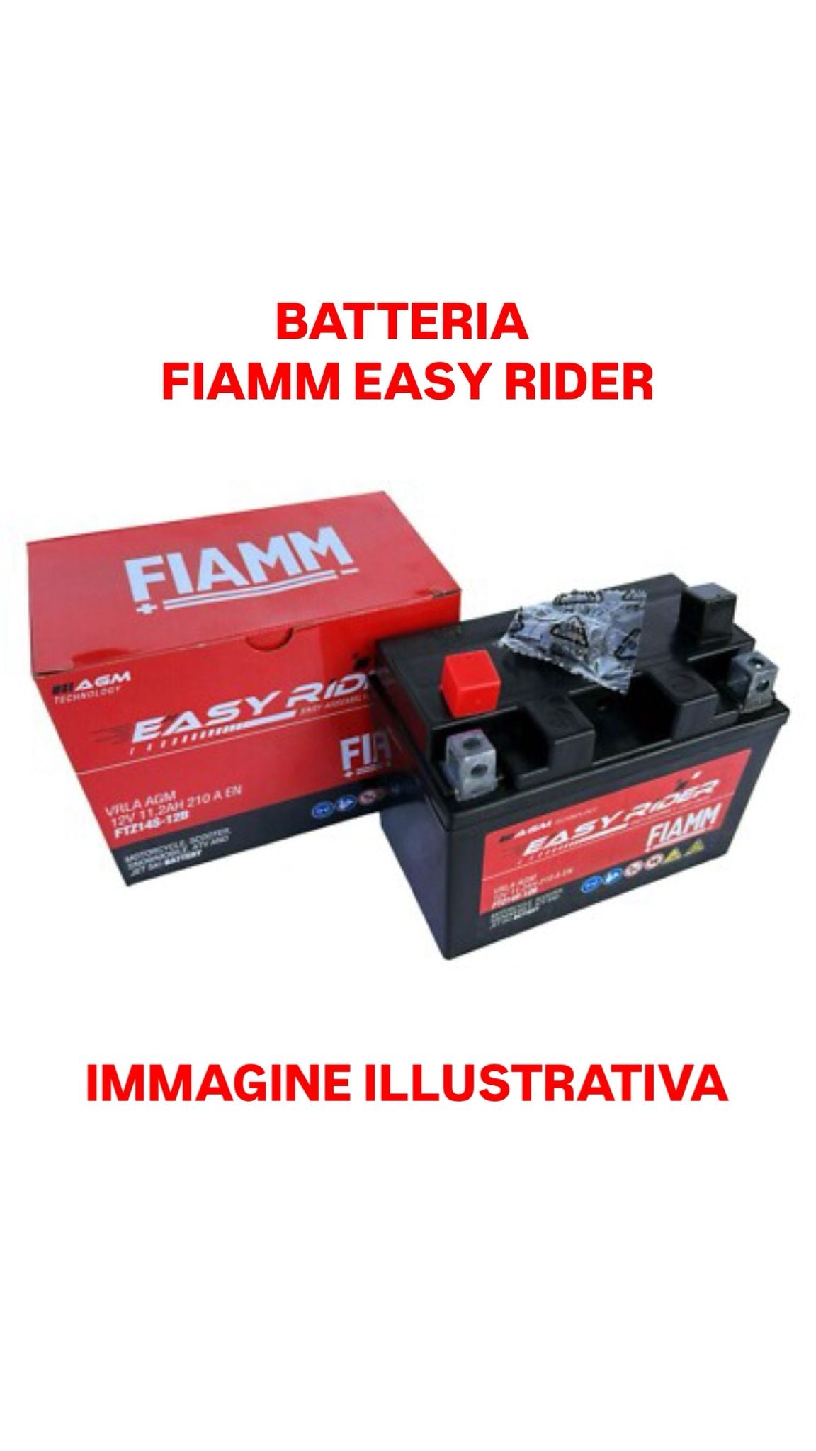 Batteria FIAMM FTZ14S-12B Easy Rider = YTZ14S-BS / CTZ14S-FA