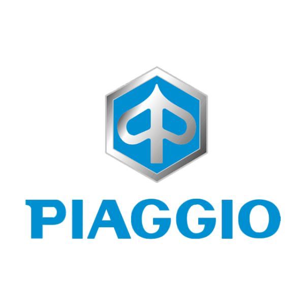 Candela Accensione Originale Piaggio NGK ER9EH-6N - Con Resistore Gap 0,6mm - Aprilia Piaggio Vespa 50 Fantic Caballero 500